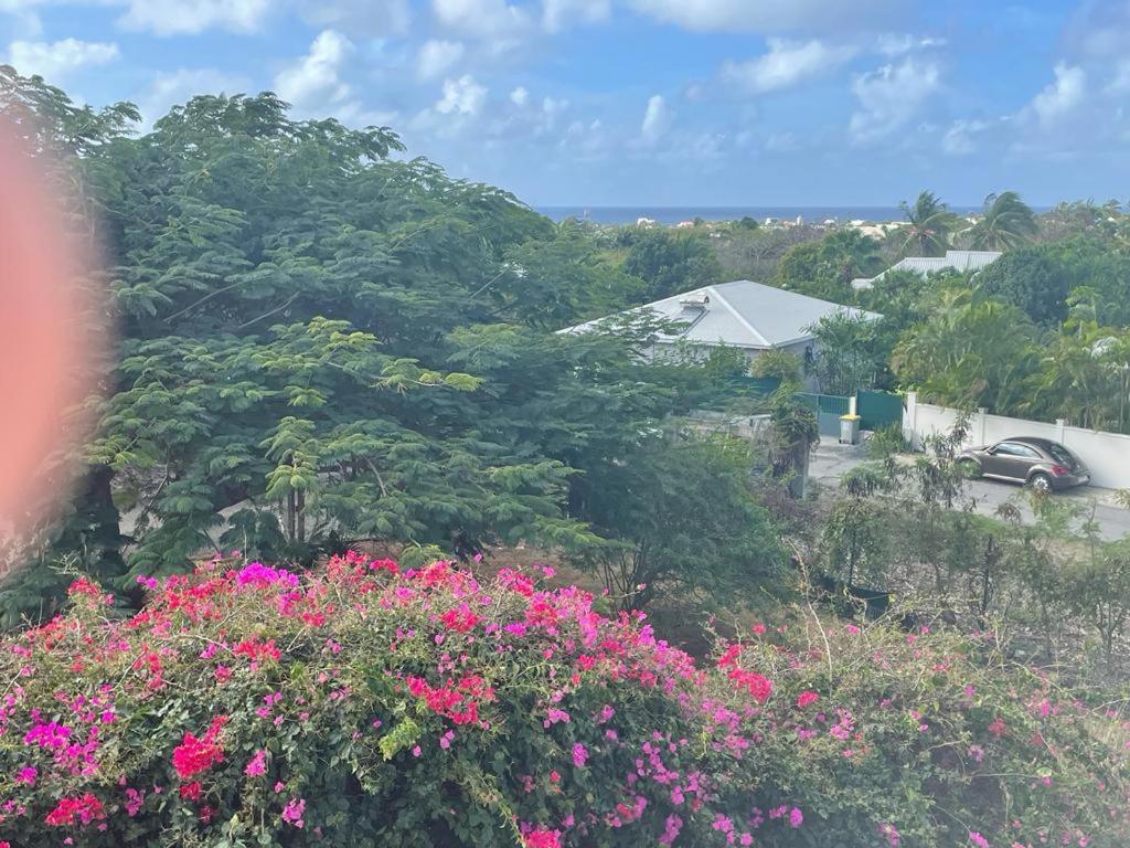 Villa Ste Marthe Avec Piscine, Grande Terrasse, Jardin Intime Et Citerne D'Eau Сен-Франсуа Экстерьер фото